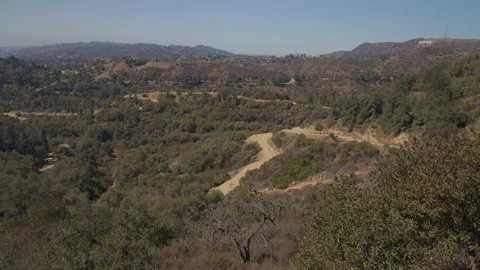 Wide shot of Griffith Park featuring multiple trails branching Stock Footage 319349705