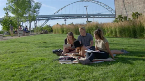 Wide shot of group studying Stock Footage 53556763