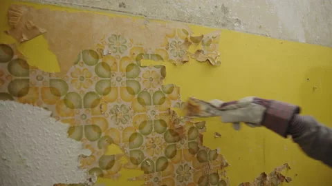 Wide shot of Hand in Glove with a Scraper removing old Wallpaper in an Apartment Stock Footage 168529293