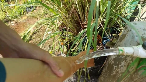 Wide shot of Hands wash under a running tap Stock Footage 332402906