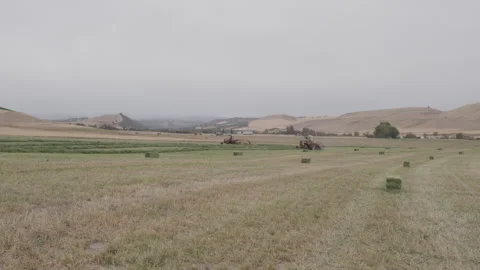 Wide shot of haymaking under overcast skies, Static Shot Stock Footage 332255792