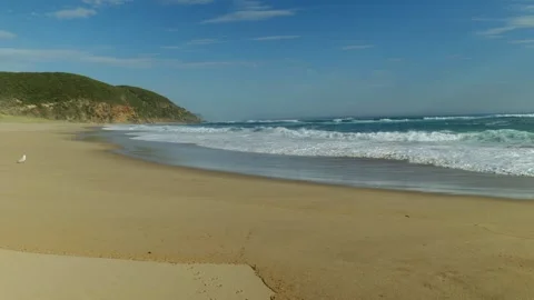 Wide Shot of Isolated Beach Stock Footage 303021521