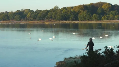 Wide shot of juggling at Lake Video stock 101283252