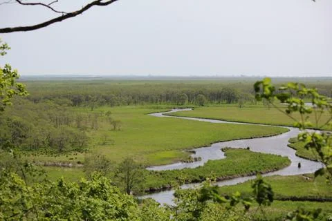 Wide shot of the Kushiro wetland in summer Stock Photos