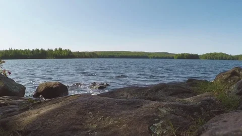 Wide Shot of Lake during summer Stock Footage 81921053