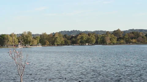 Wide Shot of a Lake 動画素材 47623237