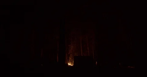 Wide shot of a large bonfire burning in a distant winter forest Stock Footage 122076822