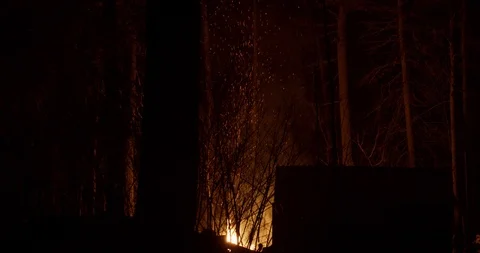 Wide shot of a large bonfire burning in a distant winter forest Stock Footage 122076867