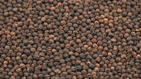 Wide Shot Large Quantity Bulk Dried Black Peppercorns Texture Vídeo Stock 331116802