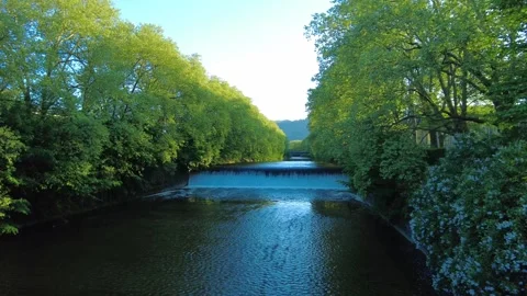 Wide shot of Limmat river with waterfall weir and lush green trees in Zurich Stock Footage 334079758