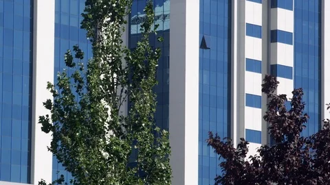 Wide Shot, Lockdown, 10 Seconds Or Greater, Tree, Building Exterior, City, Stock-Footage 94086337