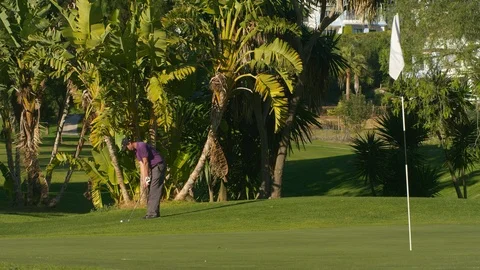 Wide Shot, Lockdown, 10 Seconds Or Greater, Sport, Golf, Golf Course, Swinging, Stock-Footage 94110244
