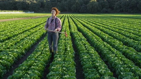 Wide Shot, Lockdown, 10 Seconds Or Greater, Rural Scene, Field, Outdoors, Day, Video stock 95819559