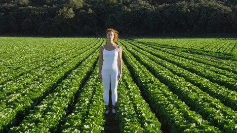 Wide Shot, Lockdown, 20 Seconds Or Greater, Rural Scene, Field, Outdoors, Day, Stock Footage 95819540