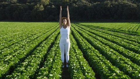 Wide Shot, Lockdown, 20 Seconds Or Greater, Rural Scene, Field, Outdoors, Day, Stock Footage 95852757