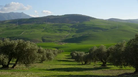 Wide Shot, Lockdown, 20 Seconds Or Greater, Hill, Non Urban Scene, Landscape, Stock Footage 95917956