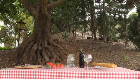 Wide Shot, Lockdown, 30 Seconds Or Greater, Walking, Outdoors, Day, Food, Drink, Stock Footage 94058545