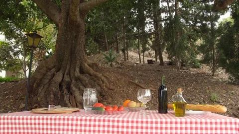 Wide Shot, Lockdown, 30 Seconds Or Greater, Food, Sitting, Walking, Outdoors, Video stock 94058778