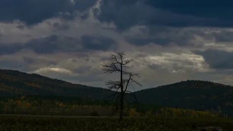 Wide shot of lonely dead tree against time lapse mountain highway and clouds Stock Footage 75869648