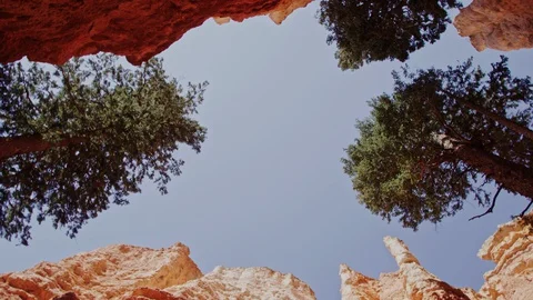 Wide shot looking up to sky from bottom of Bryce Canyon Stock Footage 128837098