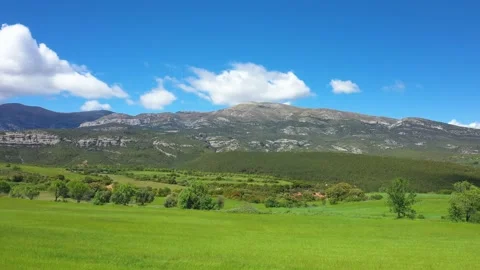 Wide shot of lush green fields and rolling hills with scattered trees, set Stock Footage 346666683