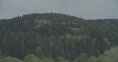 Wide Shot Lush Green Pine Forest Hillside With Wooden Building Roof Poland Video stock 330174403