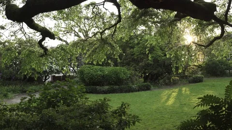 Wide shot of man running through a park 動画素材 76541273