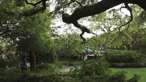 Wide shot of man running through a park 動画素材 76541275