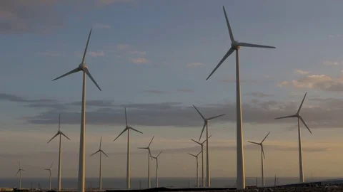 Wide shot of many wind generators working at sunset. Stock Footage 97464732