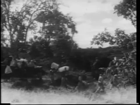 Wide shot men on safari Stock Footage 260248943