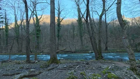 Wide Shot of Mountain River Flowing Through Forest – Static Pan Left to Right Video stock 330952889