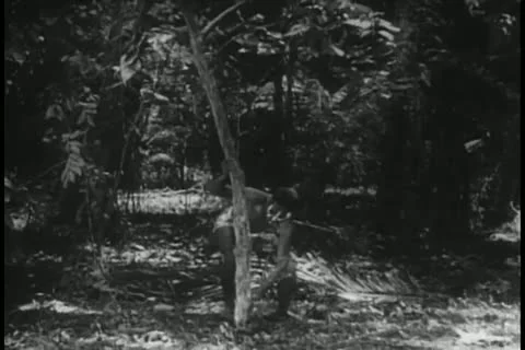 Wide shot native cutting down tree Stock Footage