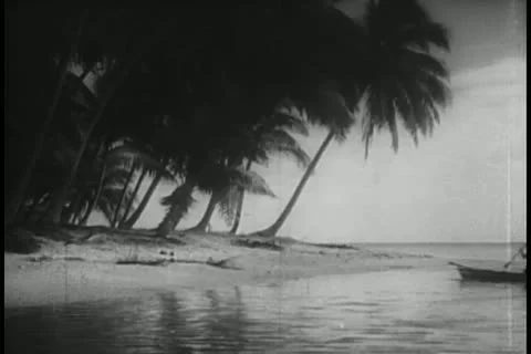 Wide shot natives arriving on island in canoes Stock Footage
