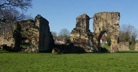 Wide shot of the North side Elevation of Basingwerk Abbey, Stock Footage 344814242