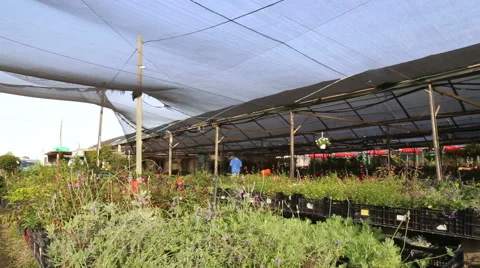Wide shot of nursery Stock Footage 56606077