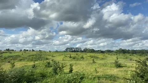 Wide shot out of a window of train, tracking along flat British UK southern uk Stock Footage 166468942