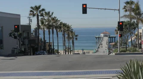 Wide Shot of Palm Trees at Manhattan Beach Pier Stock Footage 61151148