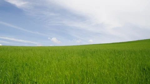Wide Shot, Panning, 40 Seconds Or Greater, Outdoors, Day, Walking, Mature Stock Footage 94048852