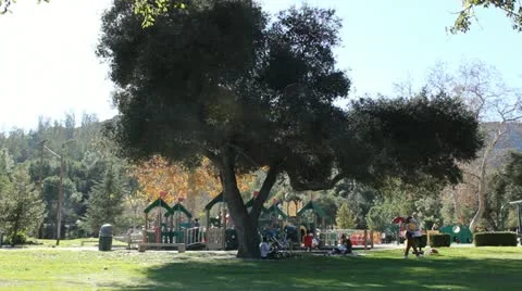 Wide shot of a park Video stock 20460040