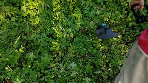 Wide shot of a person holding a string trimmer Stock Footage 334920634