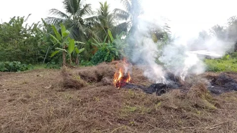 Wide shot of a pile of dry grass and brushwood burning Stock Footage 334694575