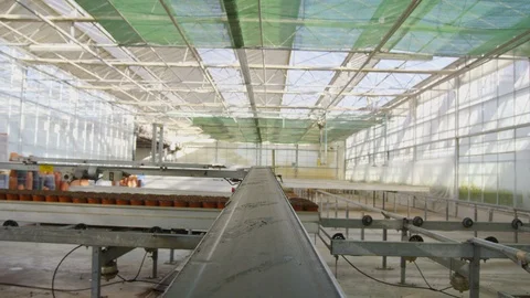 Wide Shot, Point Of View, 10 Seconds Or Greater, Indoors, Day, Agriculture, Stock-Footage 95862075