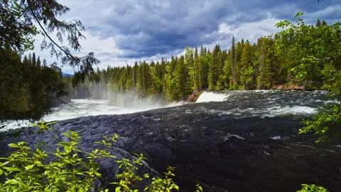 Wide shot of powerful waterfall rushing through forest in bright sunlight Stock Footage 344137676