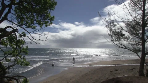 Wide-shot with push in of silhouetted net fisherman on deserted Maui beach Stock Footage 242465235