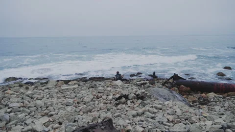 Wide shot of a redhead man chained at the seashore and trying to break free Video stock 295097936