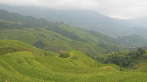 Wide shot of rice terraces surrounded by mountains on a cloudy day, in China Stock Footage 231846326