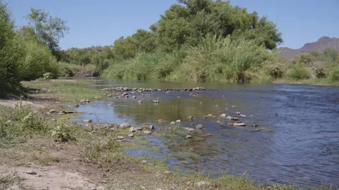 Wide Shot of River and Trees Stock Footage 200800278