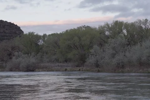 Wide Shot of River at Dawn with Distant Beaver Stockbeeldmateriaal 333599626