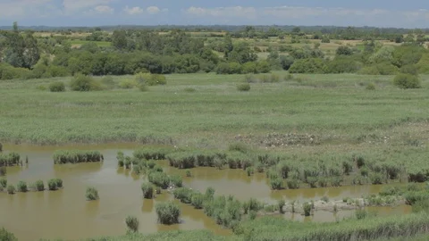 Wide shot of a River 스톡 동영상 107990676