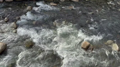 Wide Shot of a River with Smooth Flowing Water Stock Footage 297692936